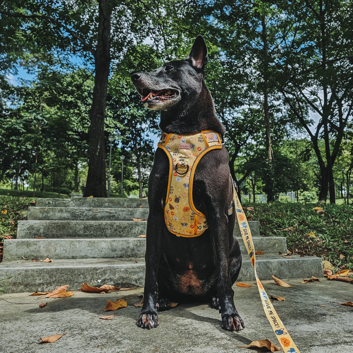 Do Not Pet Tough Adventurer Harness