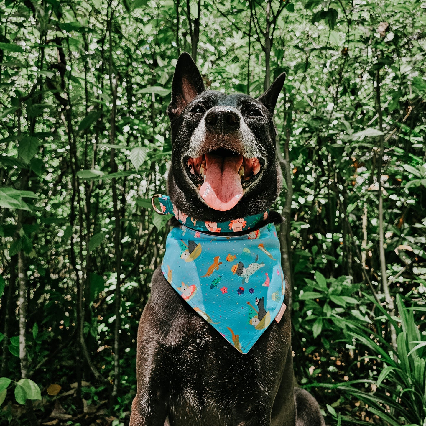 Otters & Singapore Special Reversible Bandana (Light Blue)
