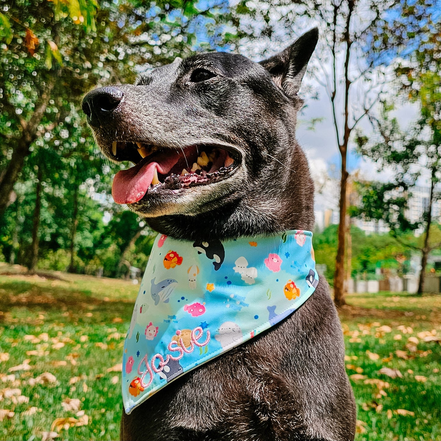 Marine V2 Reversible Bandana