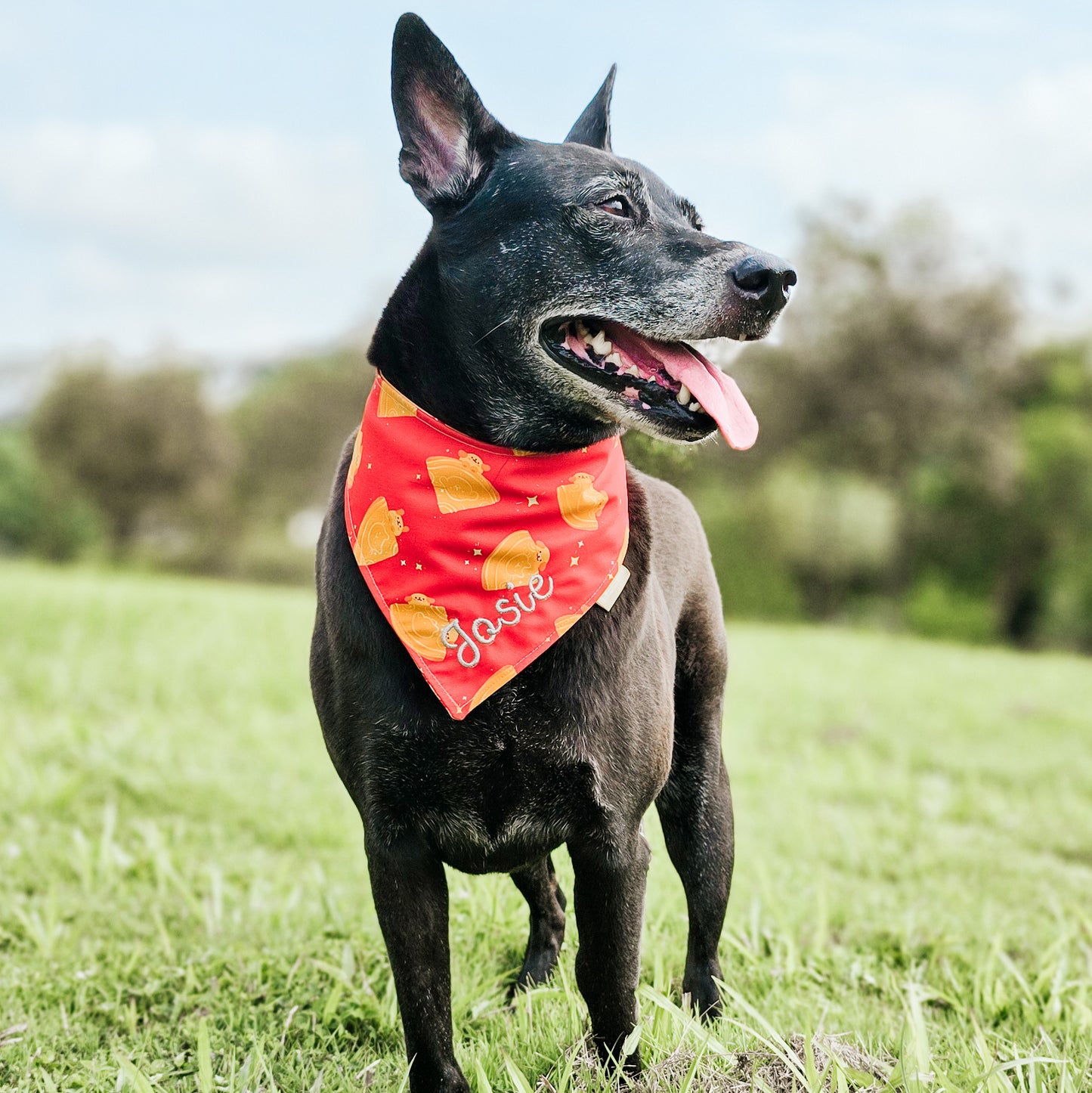 Love Letter Reversible Bandana