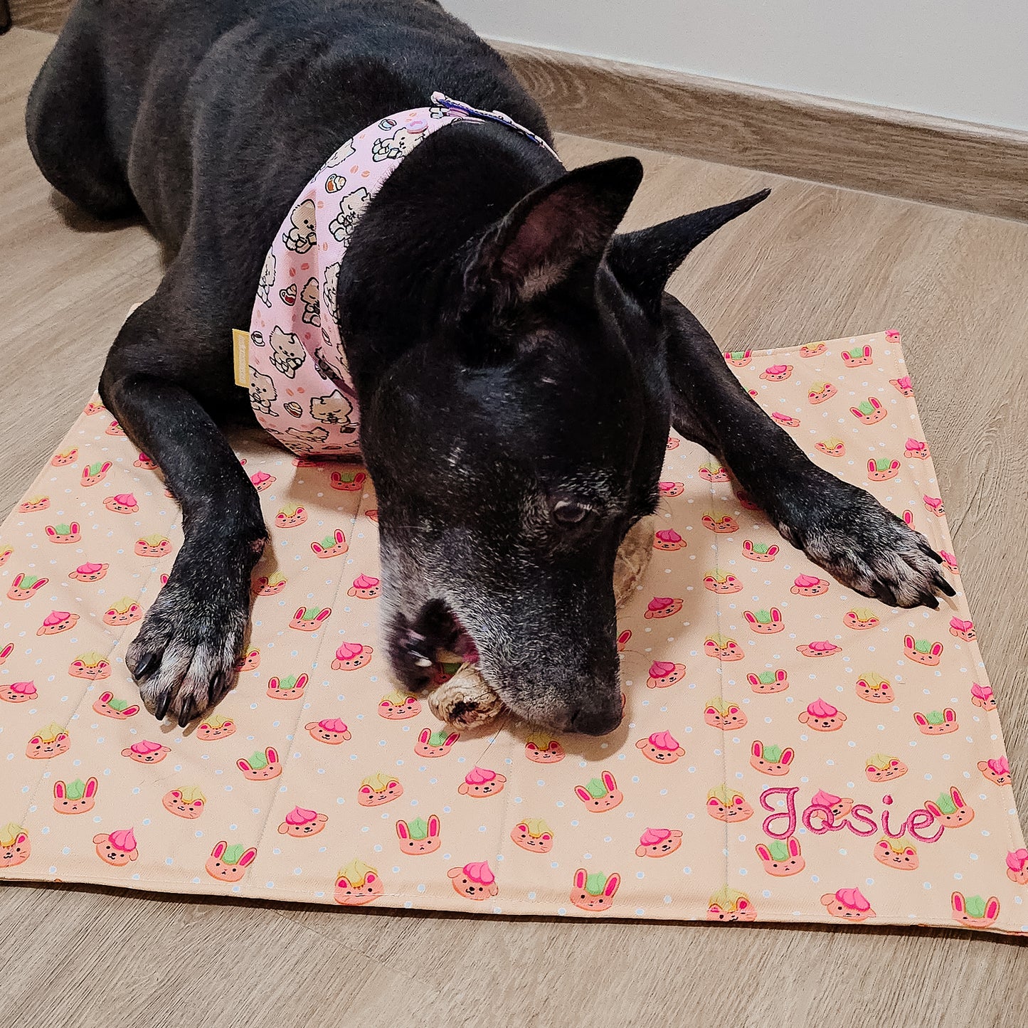 Personalised Chew Mat