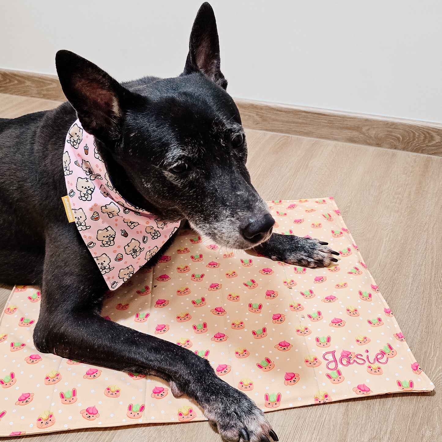 Personalised Chew Mat