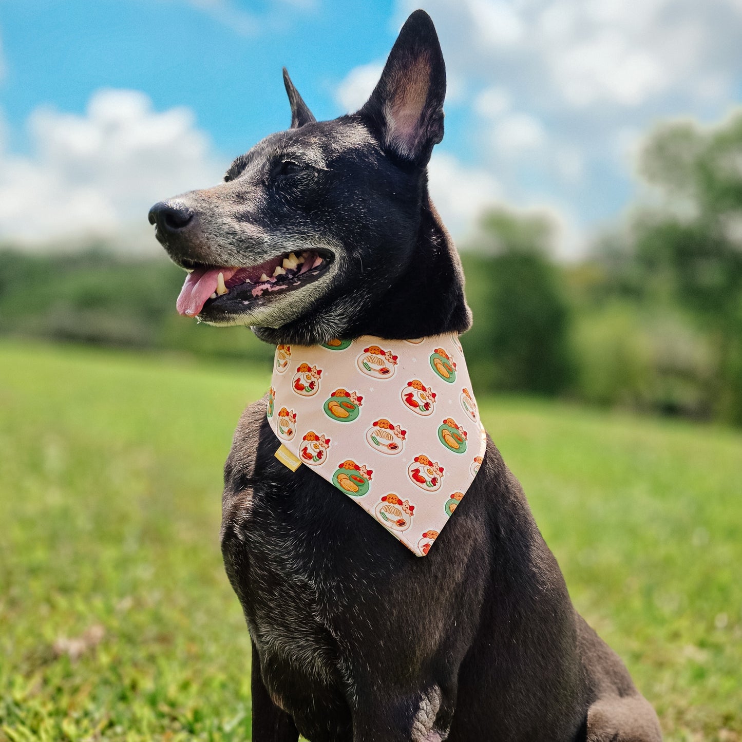 SG food Reversible Bandana