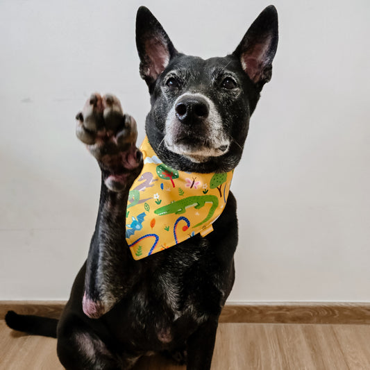 SG Wildlife (Yellow) Reversible Bandana