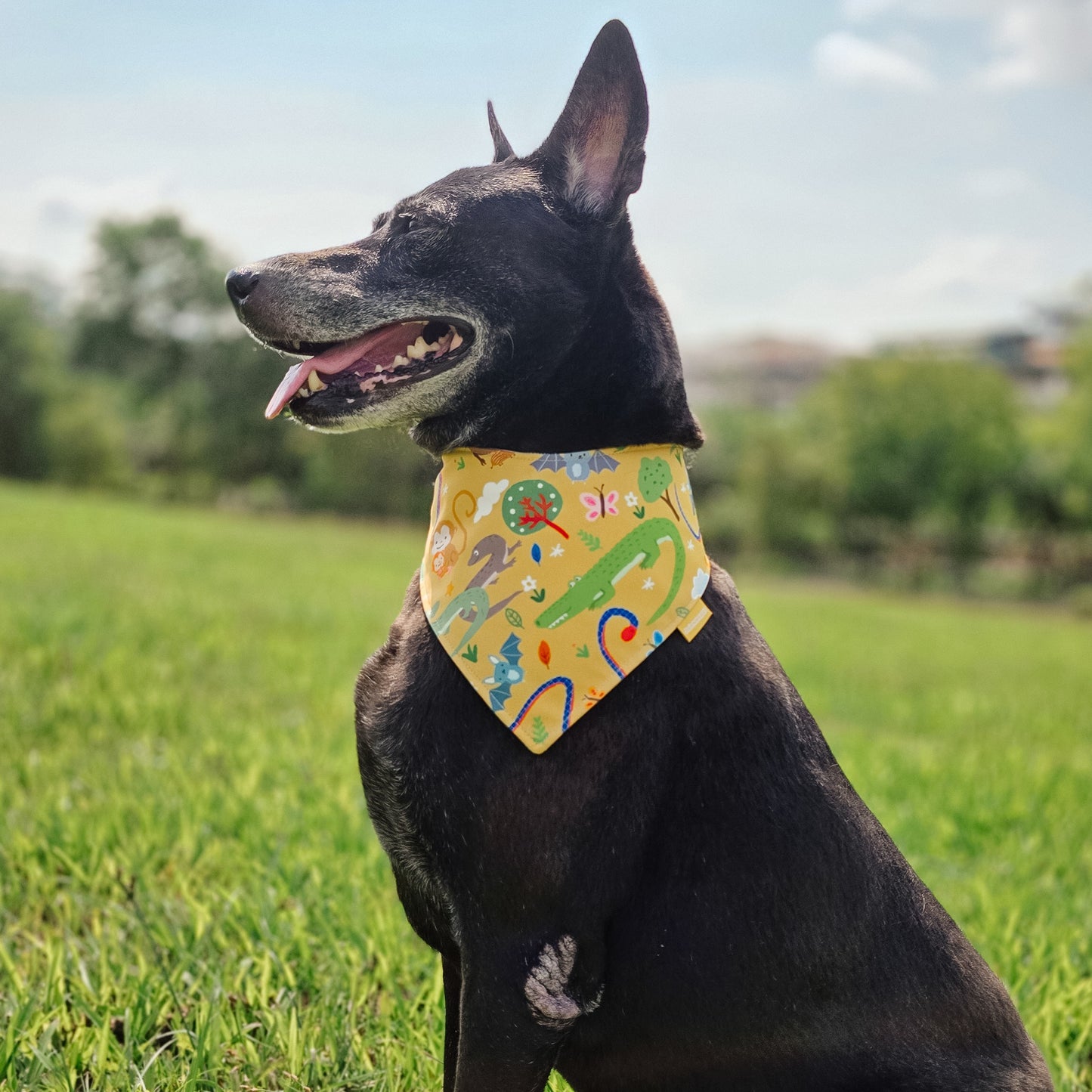 SG Wildlife (Yellow) Reversible Bandana