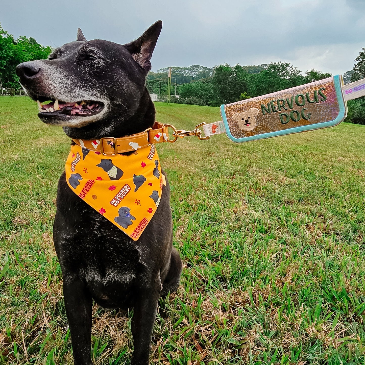 Message Tag Sleeve (Maxi)