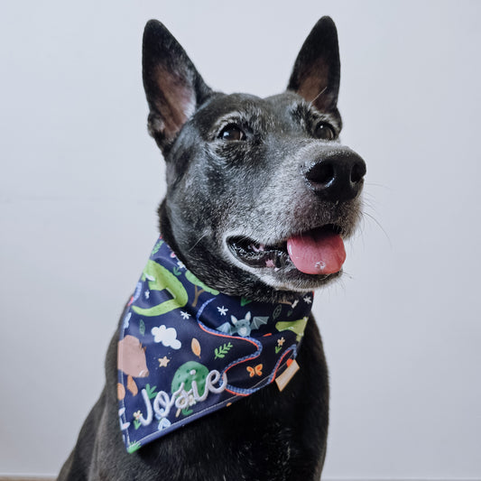 SG Wildlife (Dark Blue) Reversible Bandana