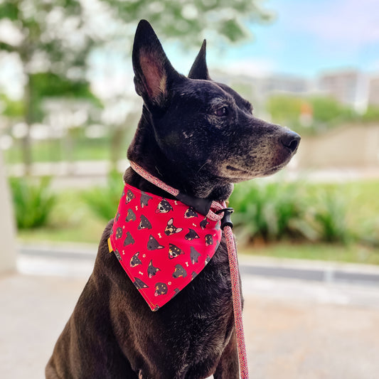 SS - Black Reversible Bandana