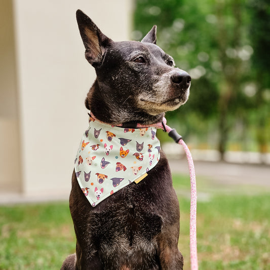 SS - Mixed Reversible Bandana