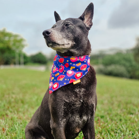 Pawsperous Blooms (Blue) Reversible Bandana