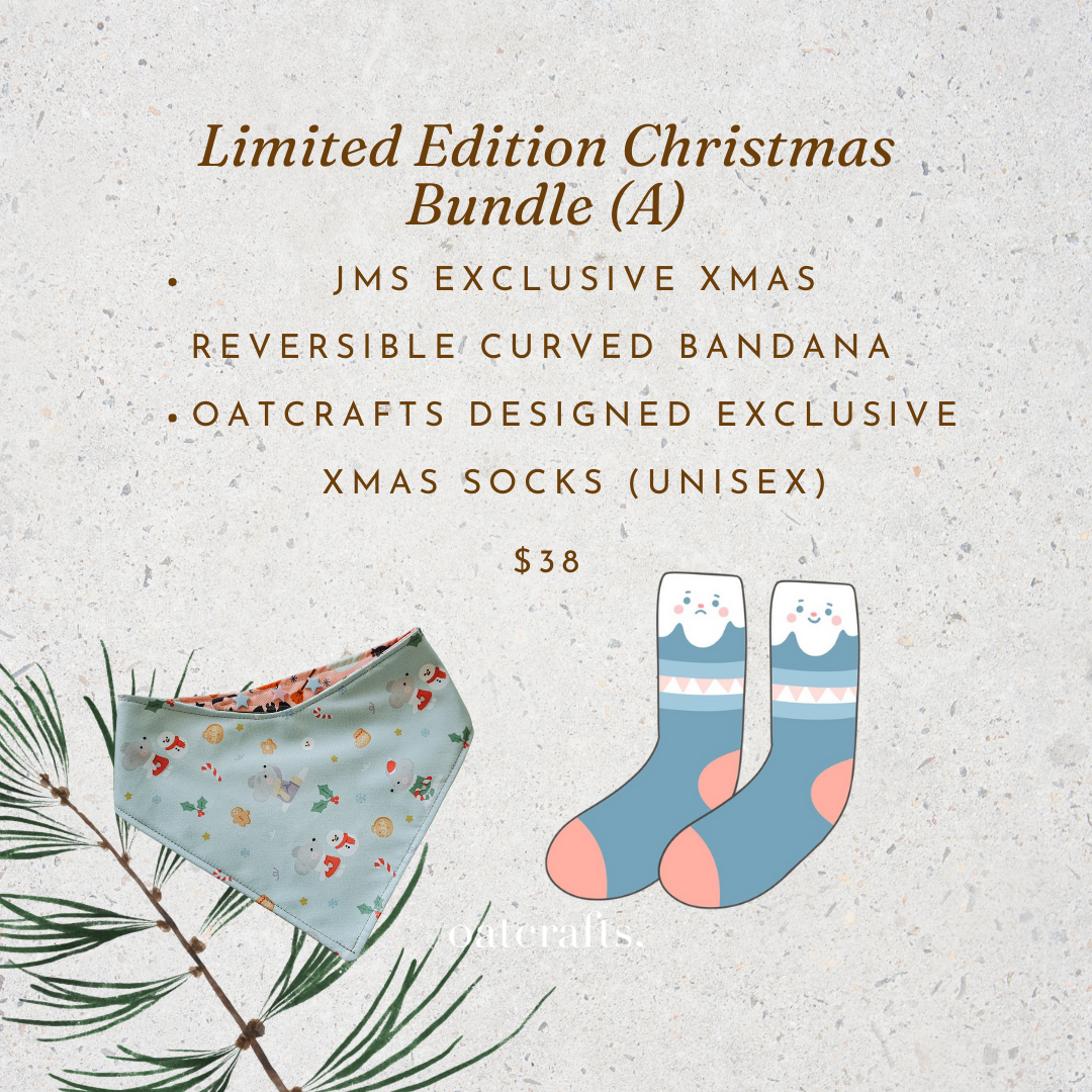 Christmas Charity Bundle (A)