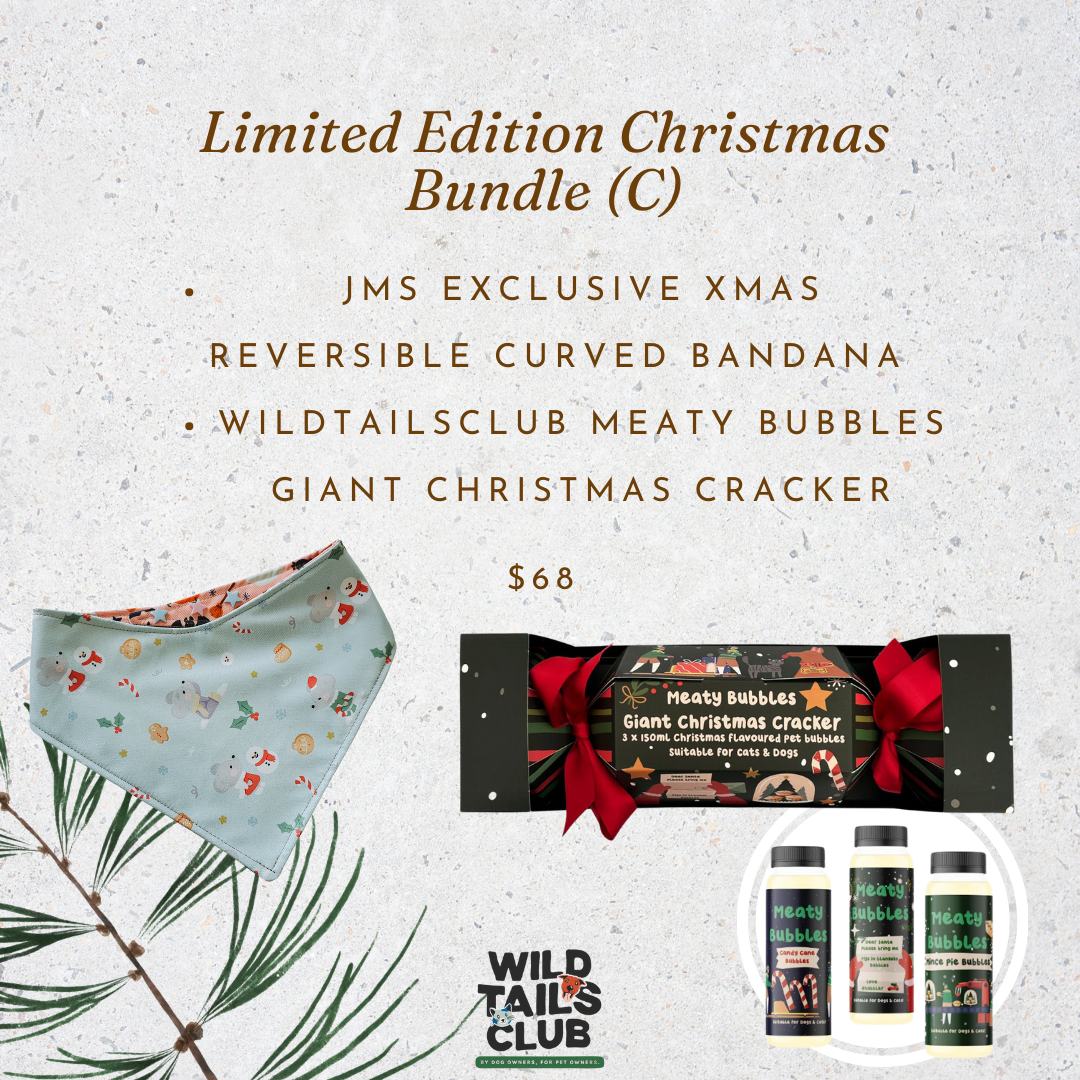 Christmas Charity Bundle (C)