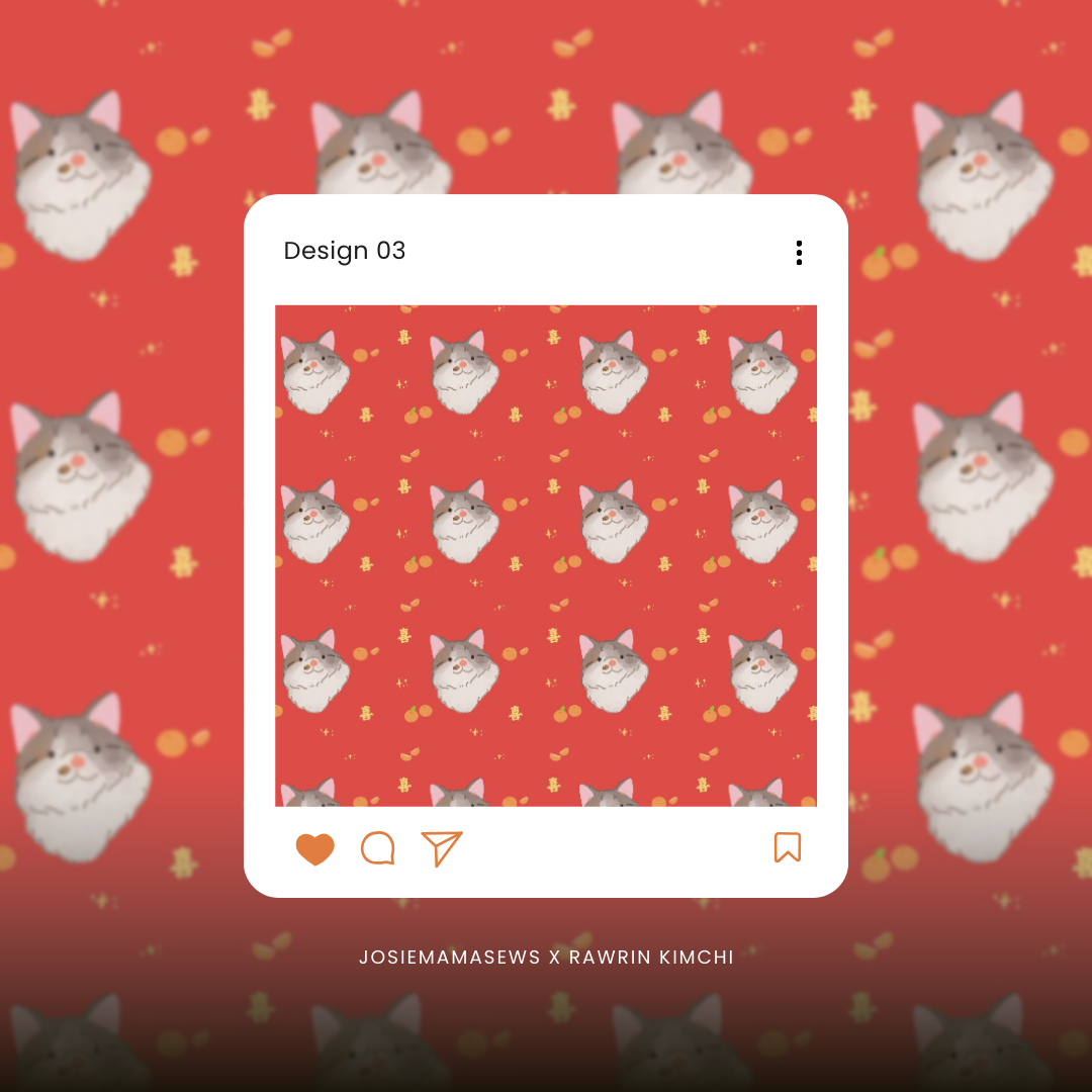 CNY Custom Pet Illustration Bundle – Rawrin Kimchi