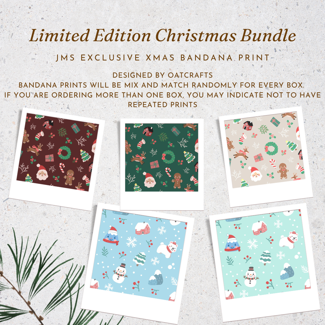Christmas Charity Bundle (B)