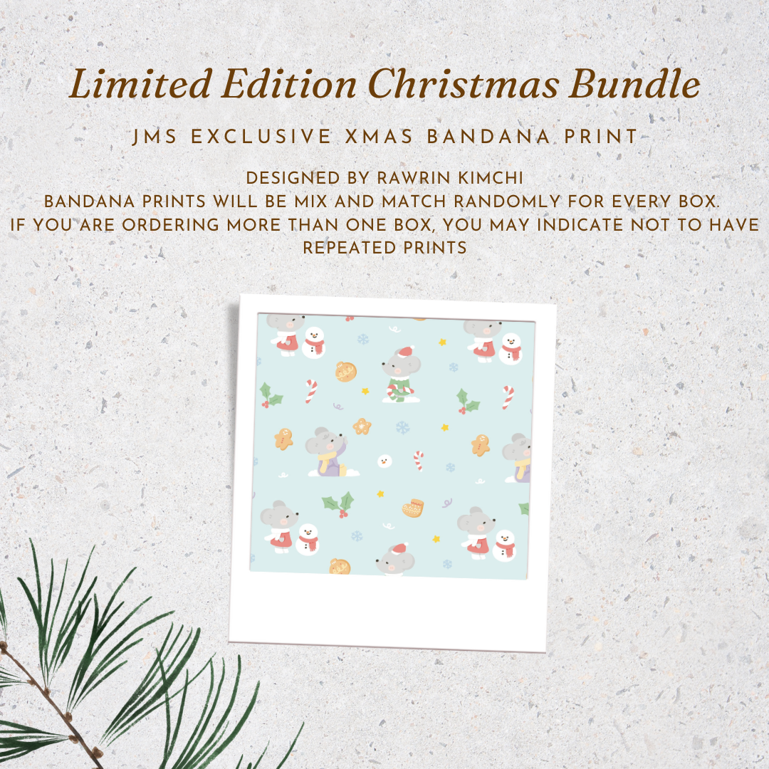 Christmas Charity Bundle (B)
