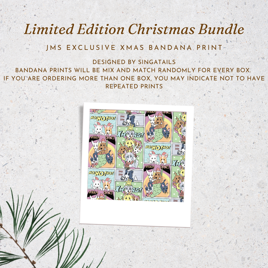 Christmas Charity Bundle (B)
