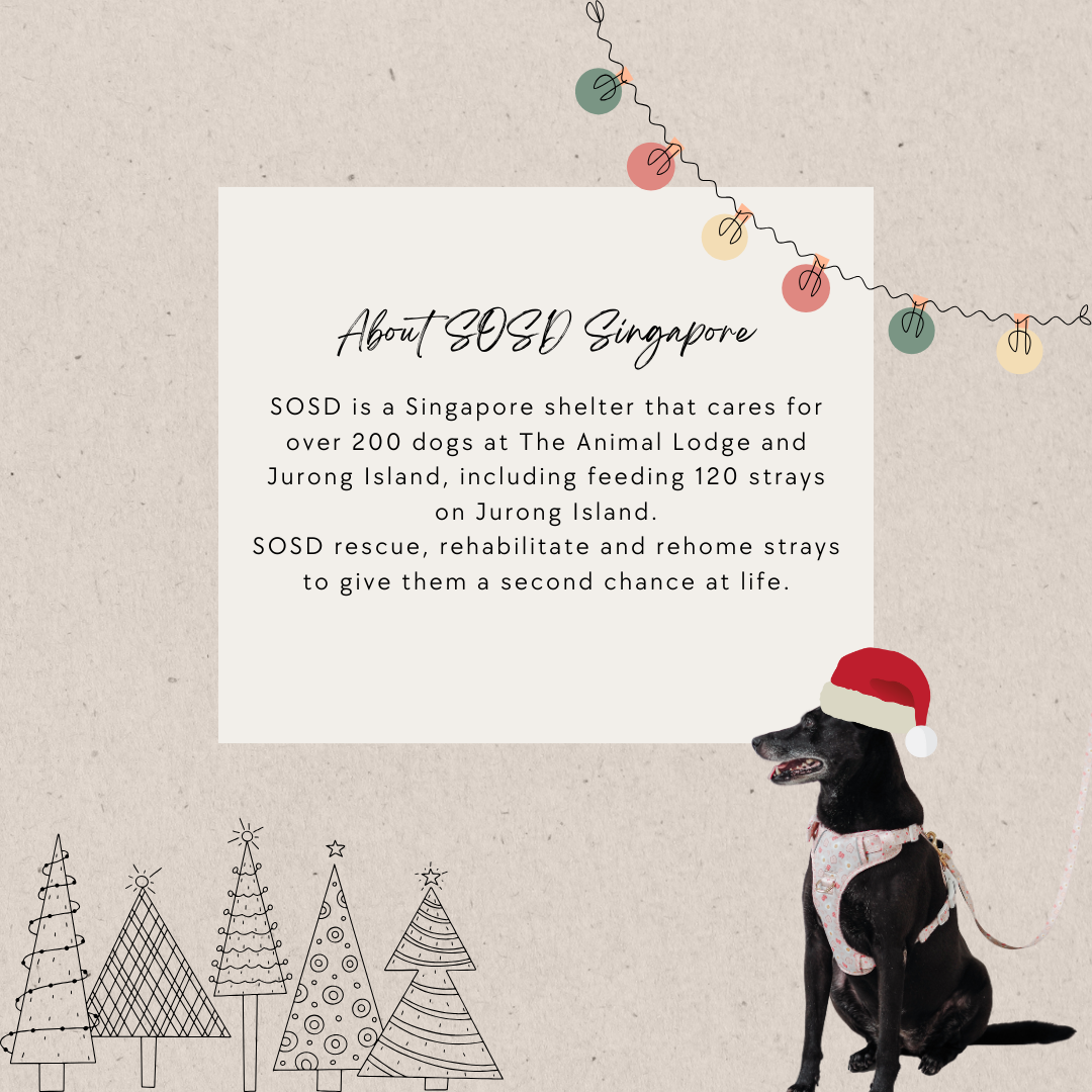 Christmas Charity Bundle (B)