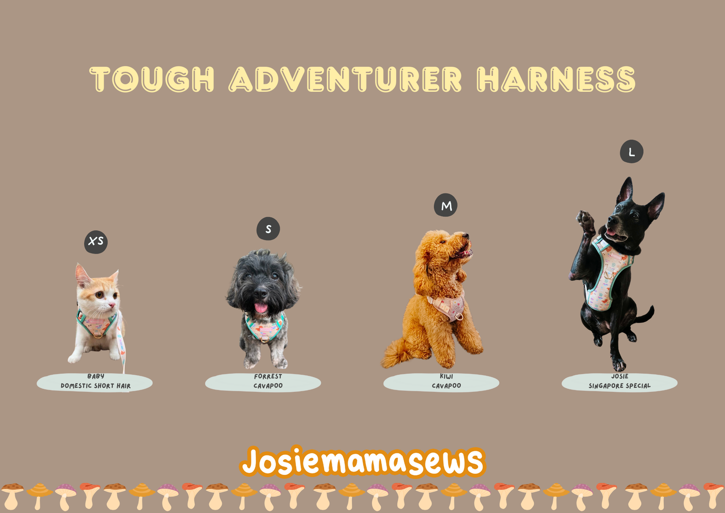 Do Not Pet Dino Tough Adventurer Harness