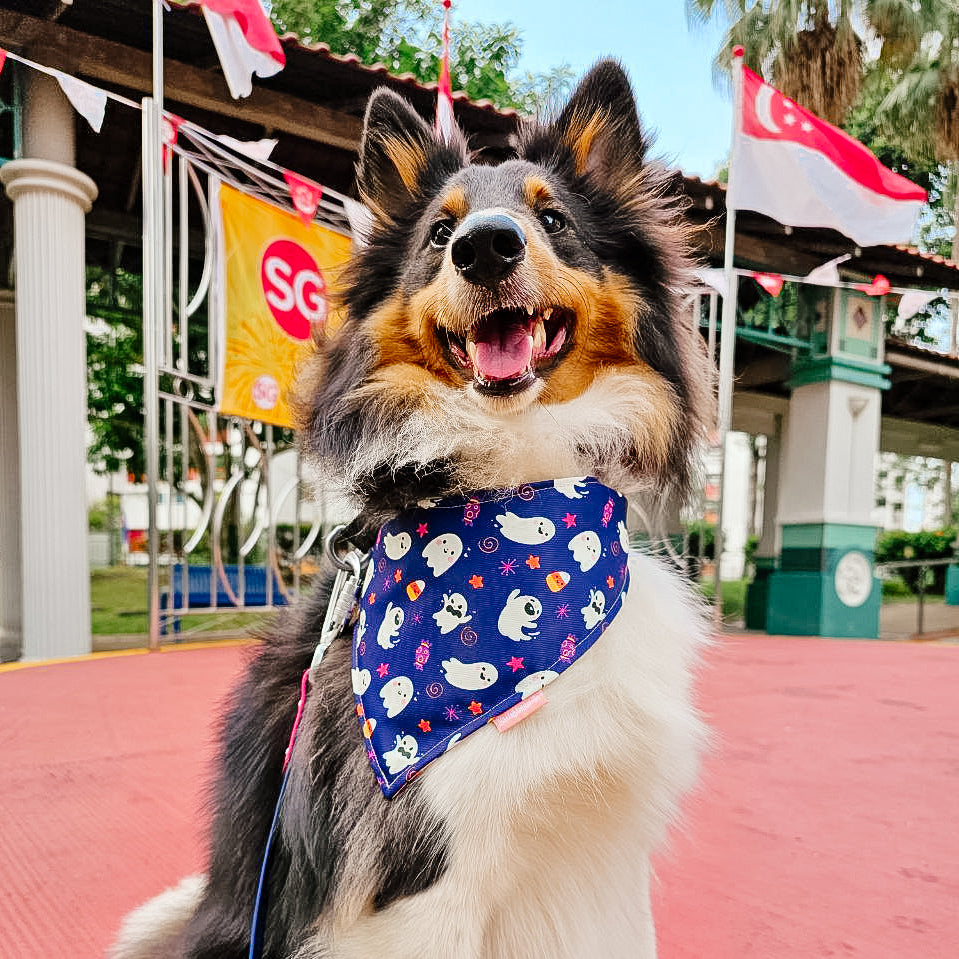 Halloween Ghost Reversible Bandana