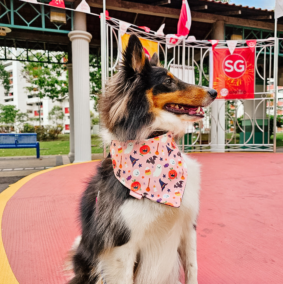 Halloween Party Reversible Bandana