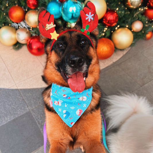 Fuji-san Winter (Blue) Reversible Bandana