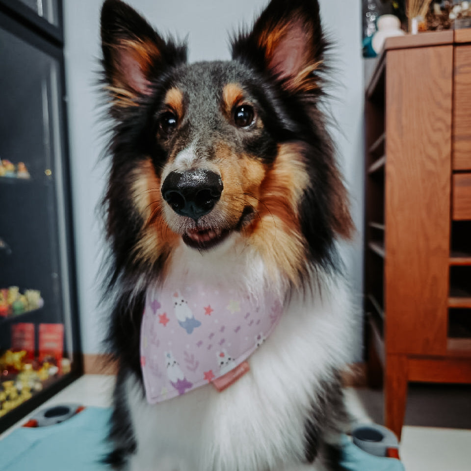 Merbunny Reversible Bandana