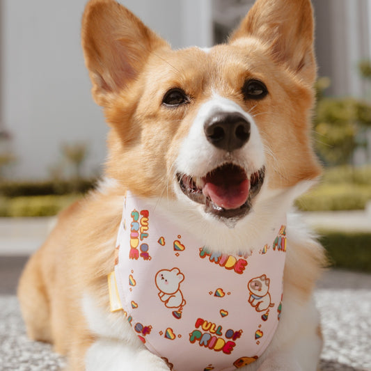 Pride Day Reversible Bandana