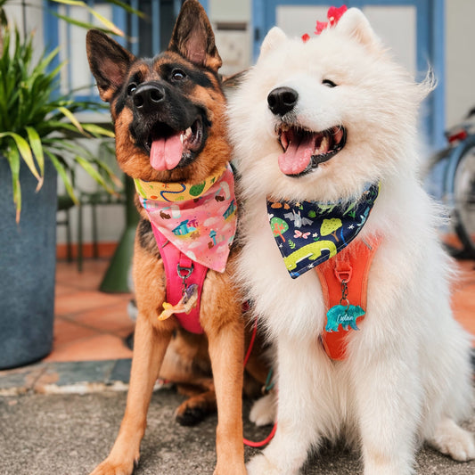 SG Merlion Reversible Bandana