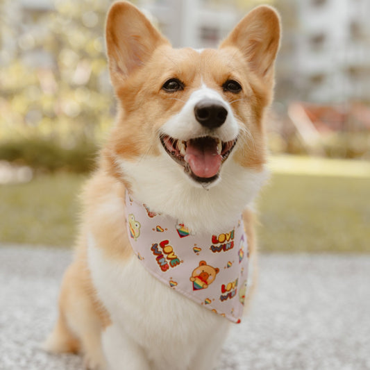 Love Wins Reversible Bandana