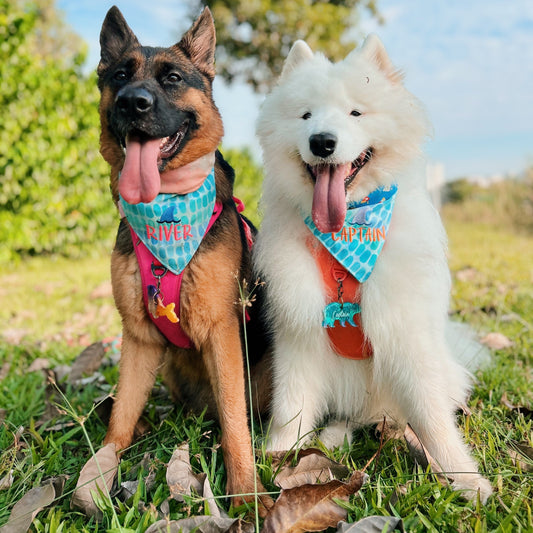 Watercolor Raindrops Reversible Bandana