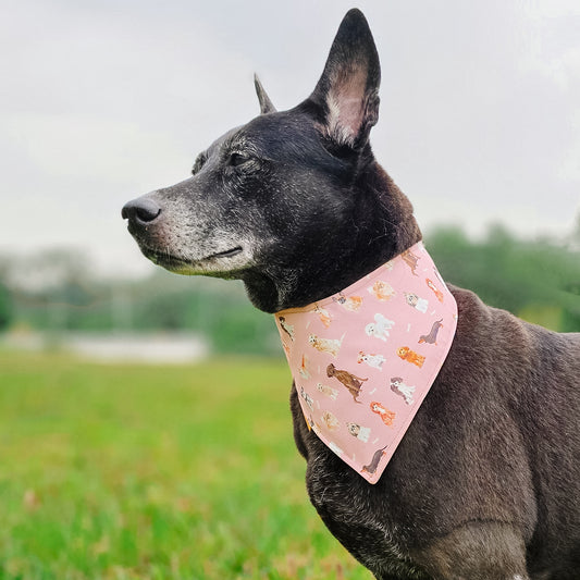 Paintbrush Doggos Reversible Bandana