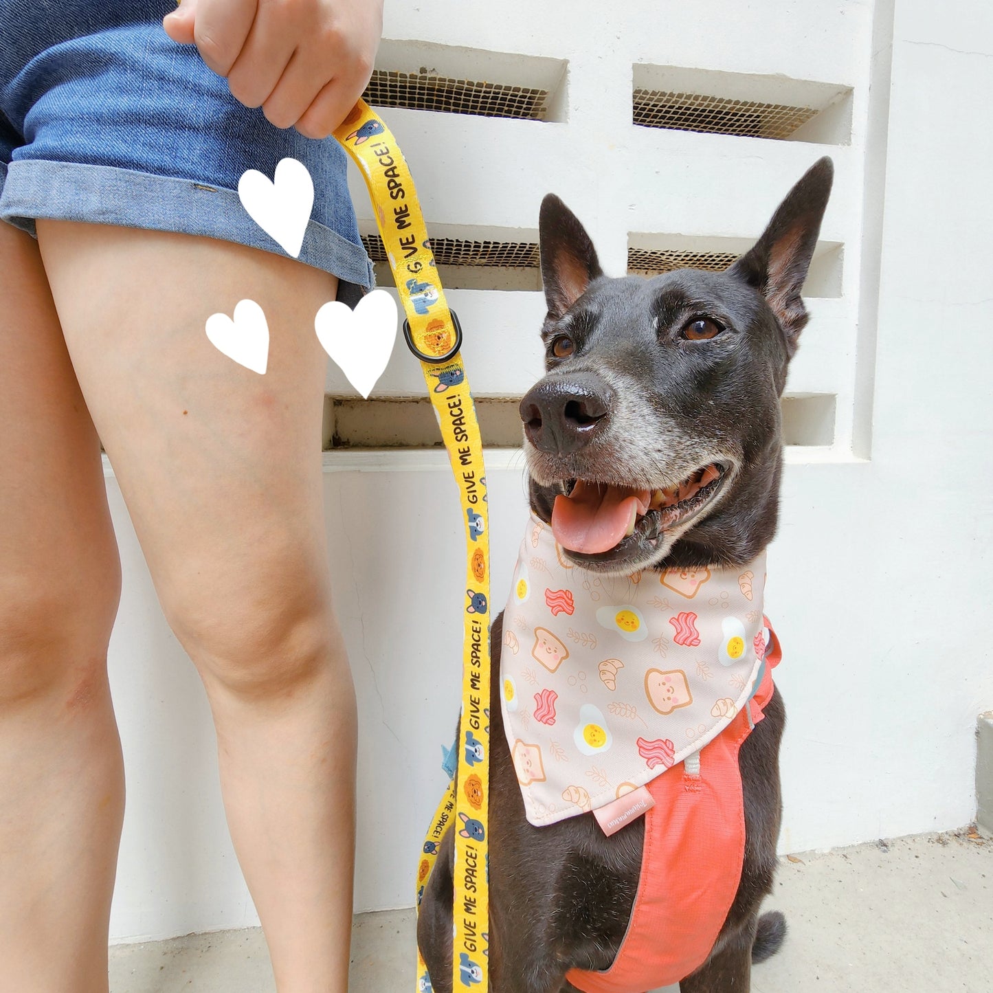 Give Me Space Leash