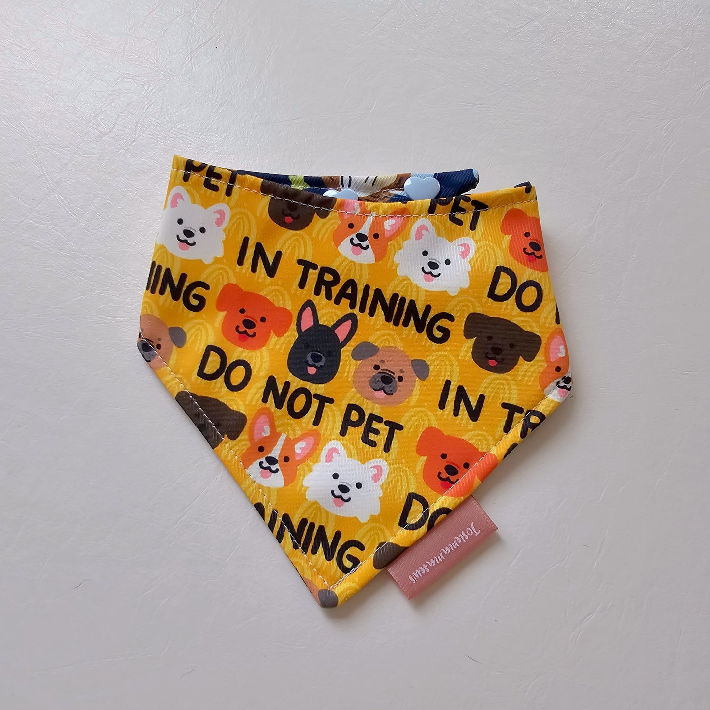 Space Hedgehog x In Training Size XS Reversible Bandana (curved)