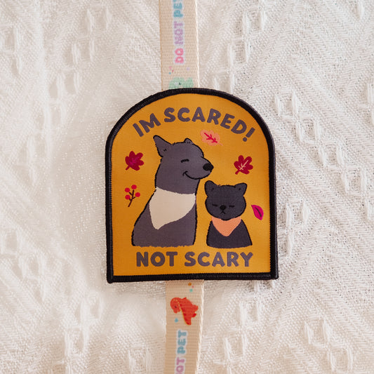 Im Scared Not Scary Message Patch