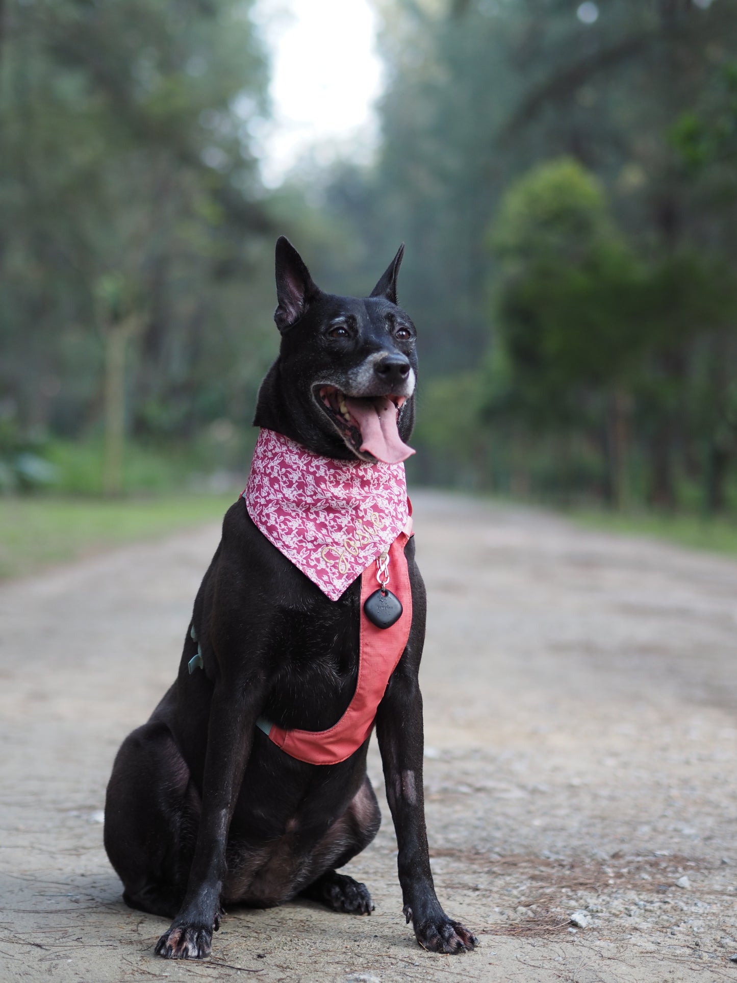 Batik on Clouds Reversible Bandana (small)
