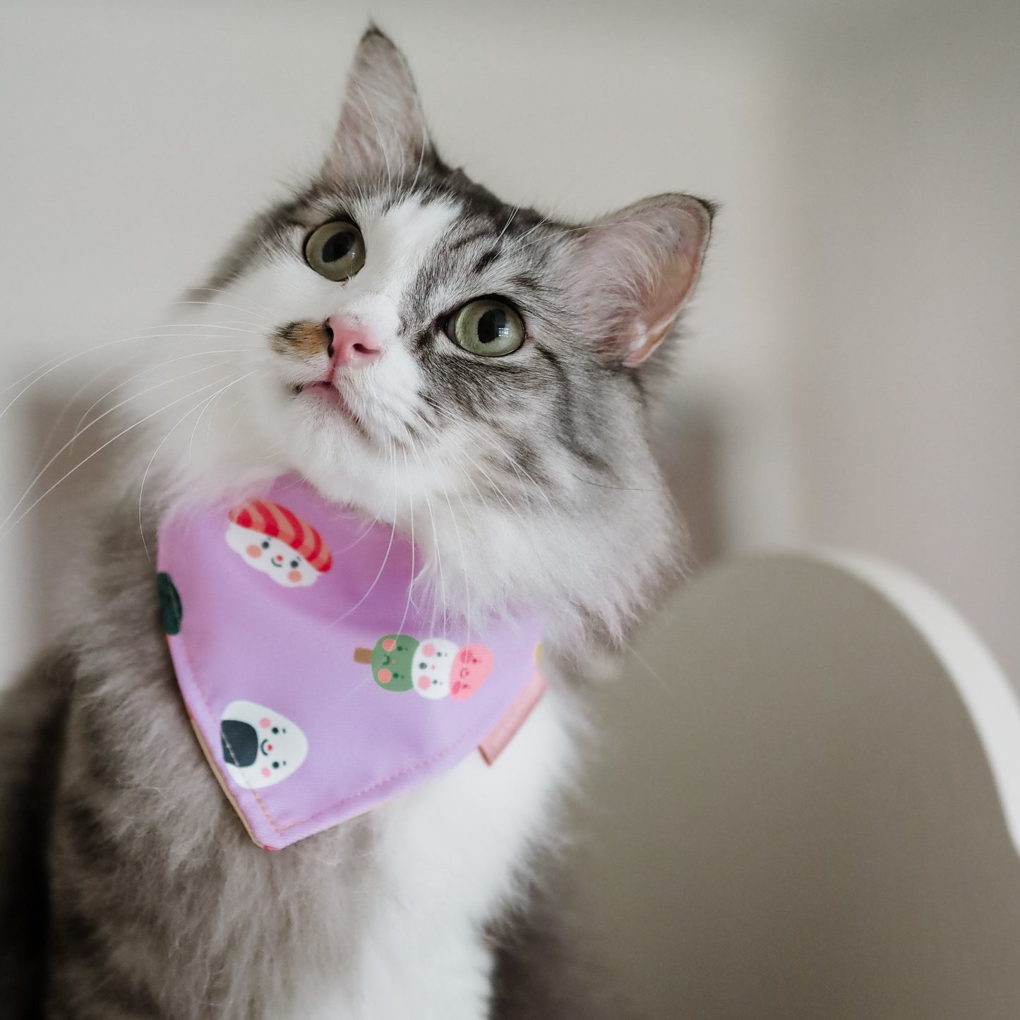 Okashi (Purple) Reversible Bandana