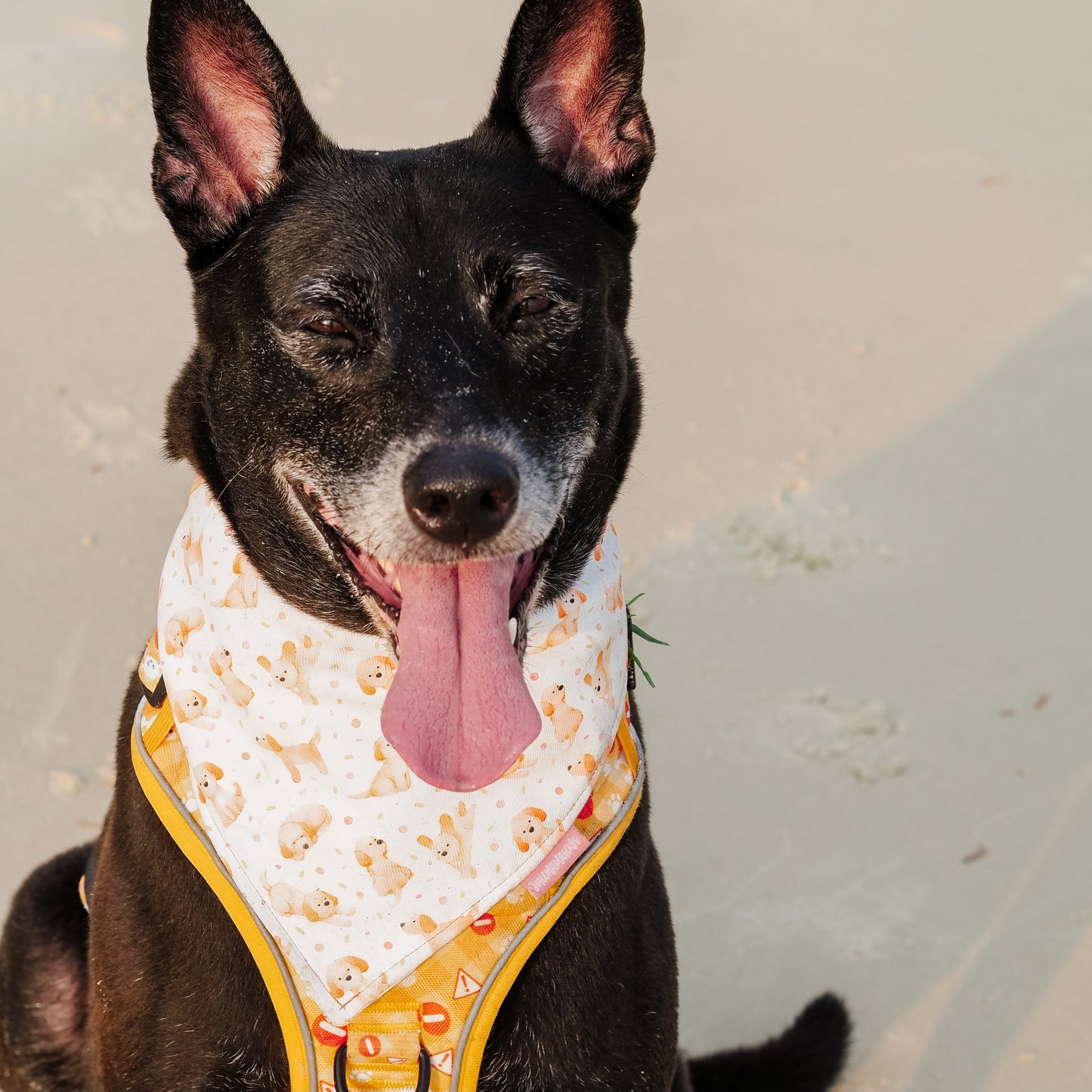 Watercolor Lil Brown Doggo Reversible Bandana