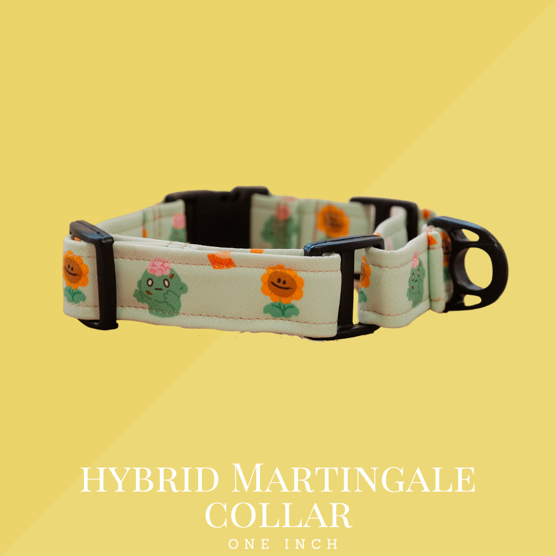 Hybrid Martingale Collar 1 Inch