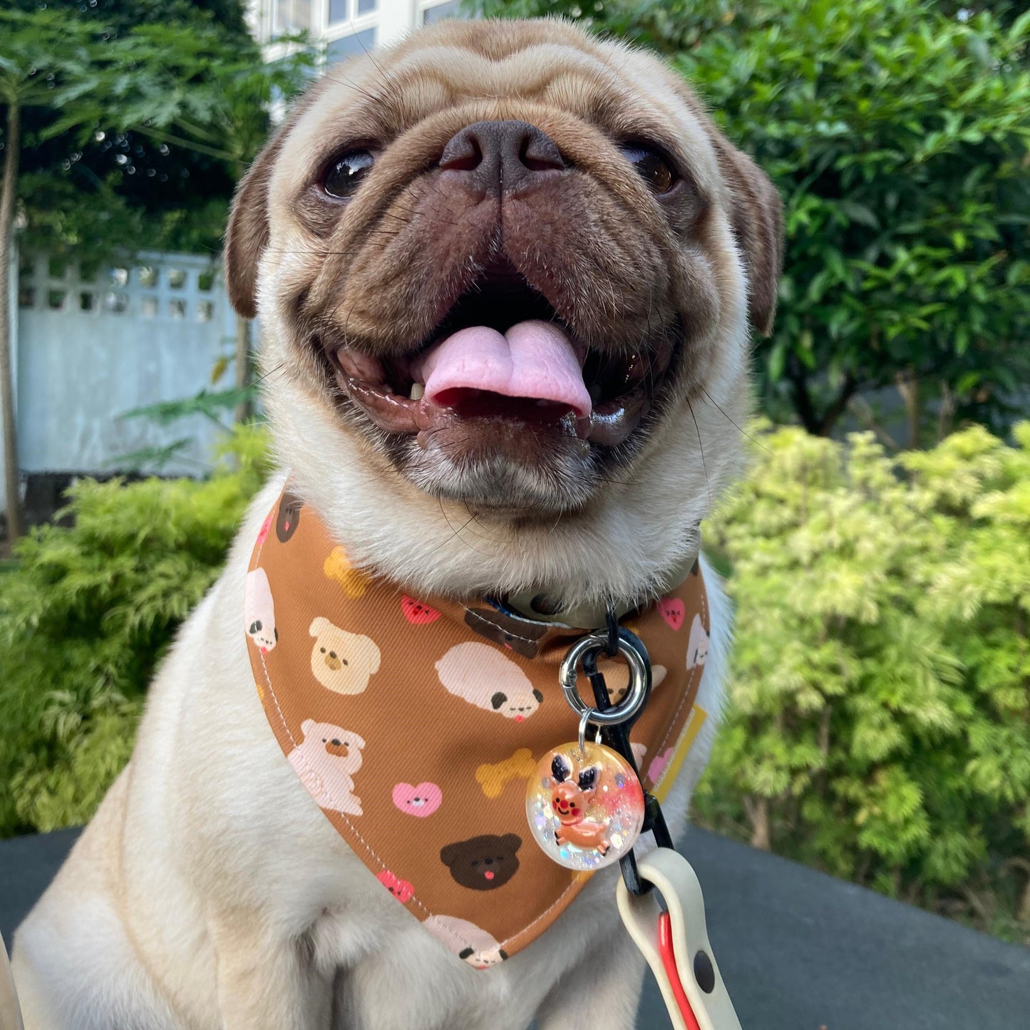 Pug Reversible Bandana
