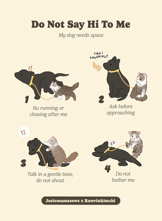 Do Not Say Hi To Me - Unisex T-Shirt