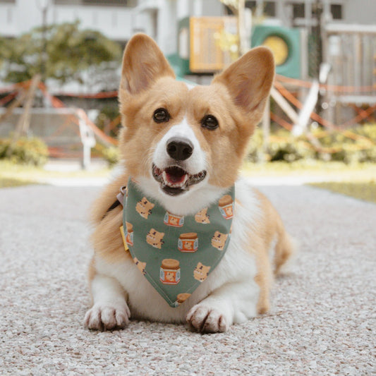 Tiger Balm Reversible Bandana