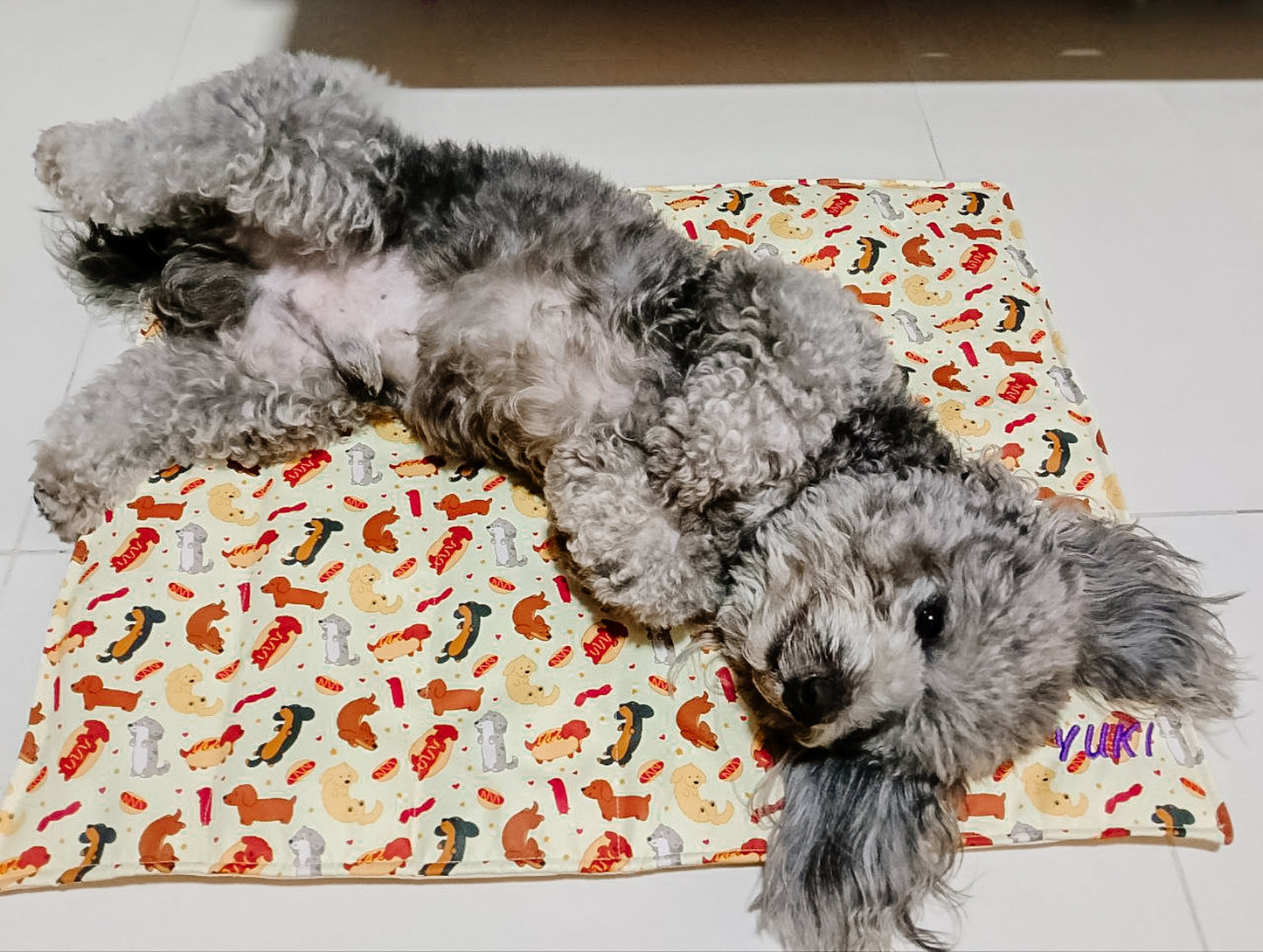 Personalised Chew Mat