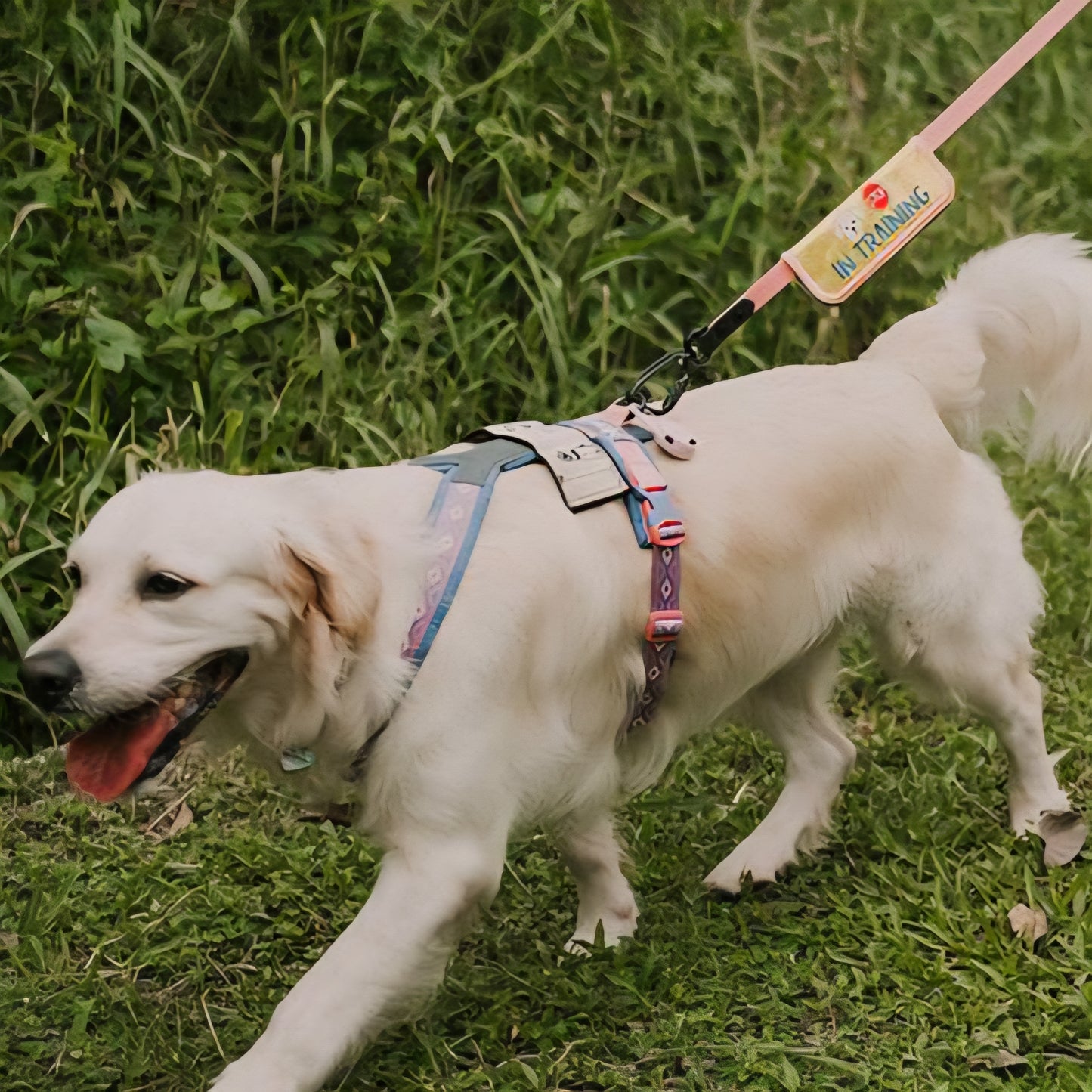 Message Tag Sleeve (Maxi)