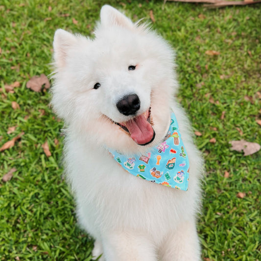 Tak Qiu Dino Reversible Bandana