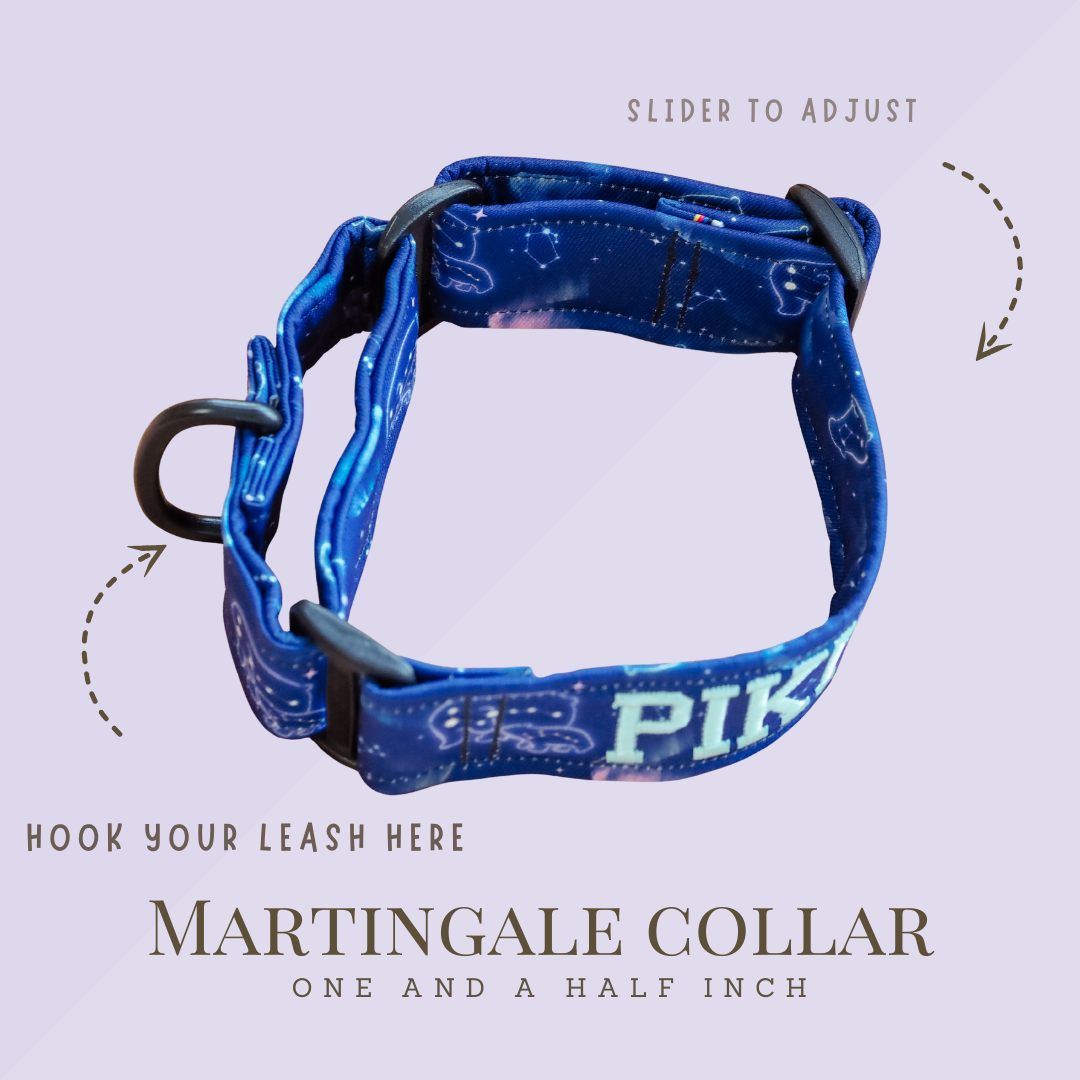 Martingale Collar 1.5" (Without Buckle)
