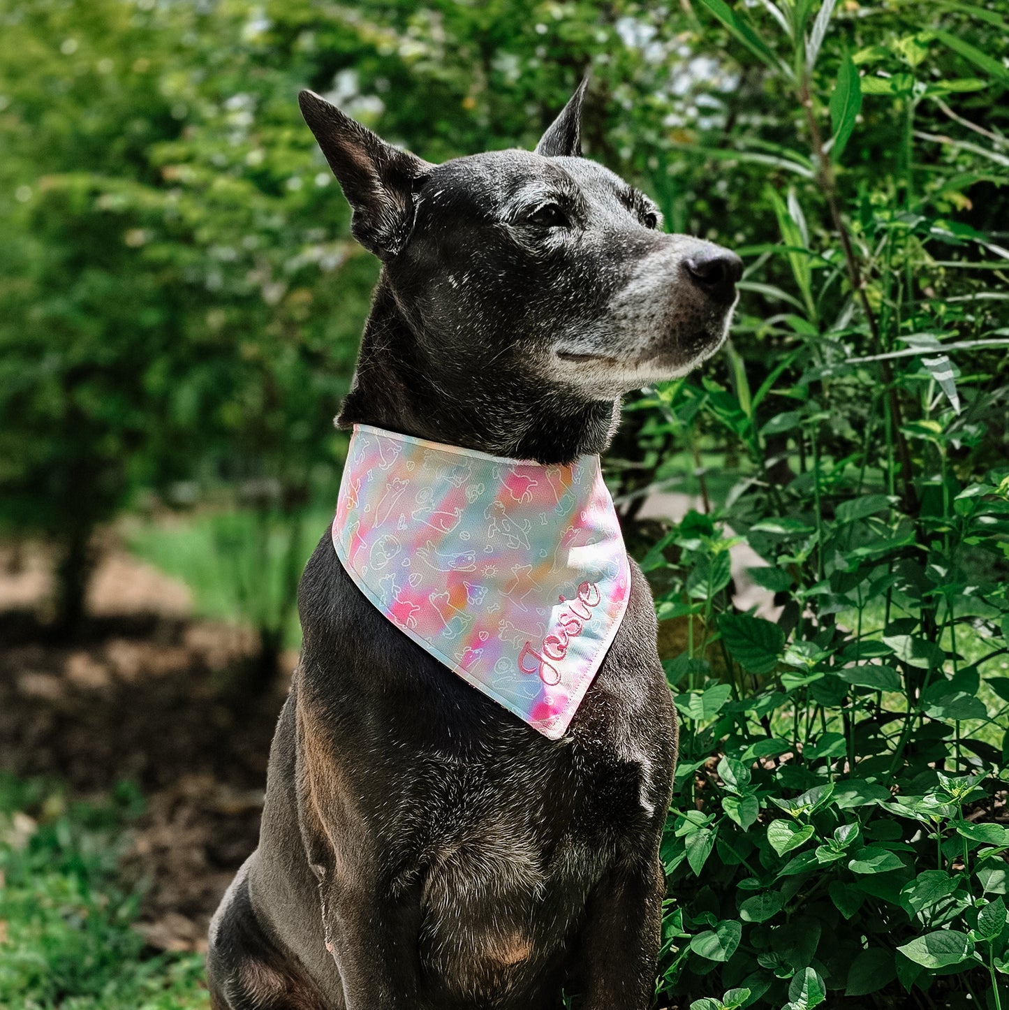 Singapore Special (Rainbow) Reversible Bandana