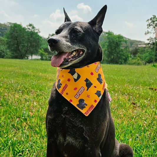 Im Scared Not Scary Reversible Bandana