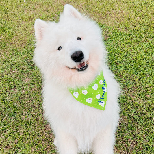 Fluffy Clouds Reversible Bandana