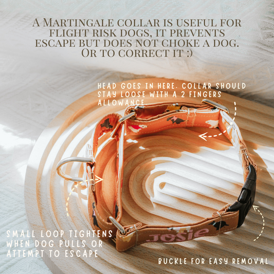 Hybrid Martingale Collar 1 Inch (With Buckle)