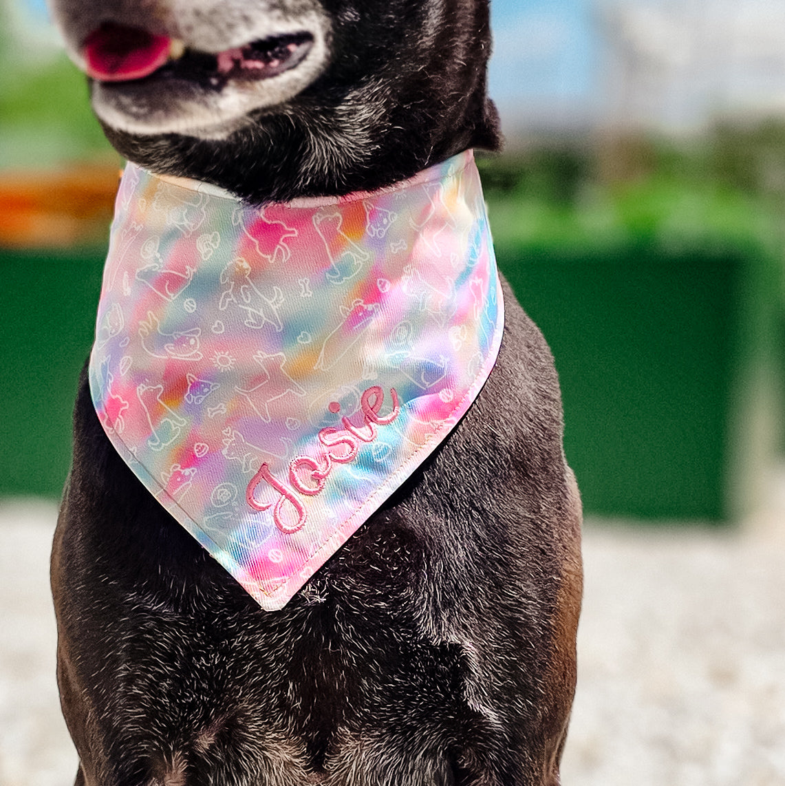 Singapore Special (Rainbow) Reversible Bandana